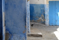 DSC00098a